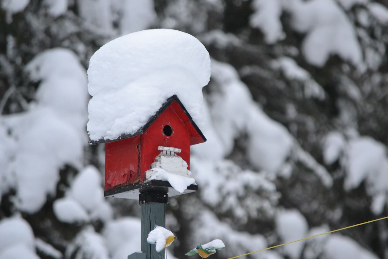 Vogelhaus mit Schnee
