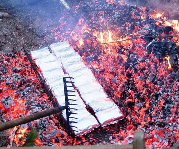 Absenken eines Drahtkorbes mit 20 Portionen Lakefleisch in die Glut. Das Fleisch ist in Alufolie eingewickelt und wird anschließend mit der Glut überschichtet.