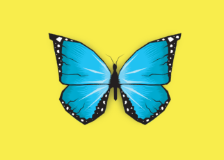 Blauer Schmetterling auf gelbem Hintergrund