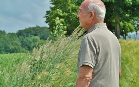 Sönnebrand, vor Sonne schützen