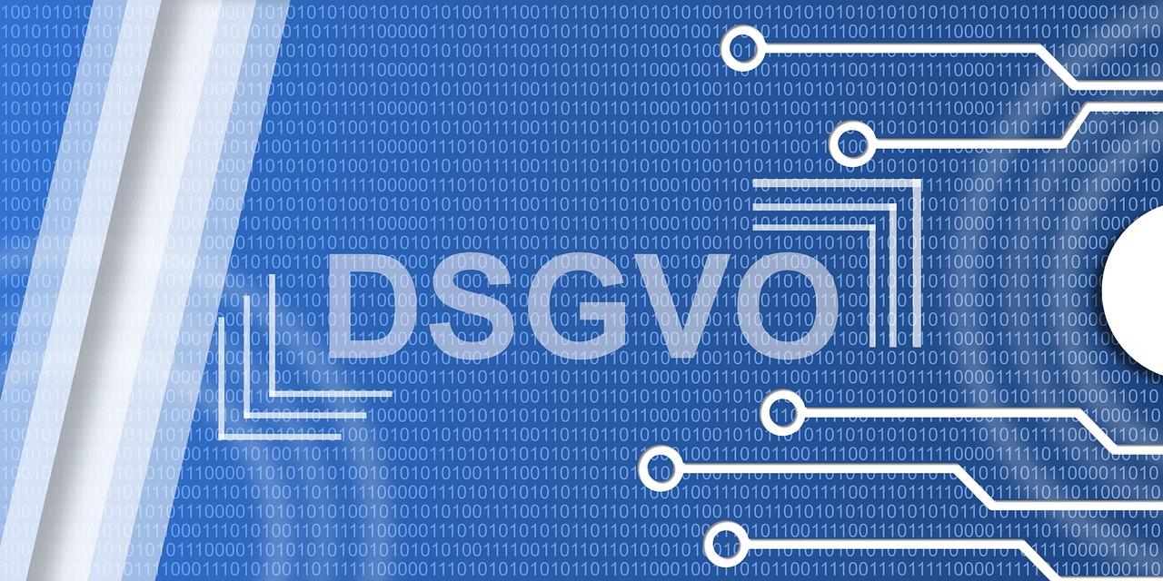 DSVGO