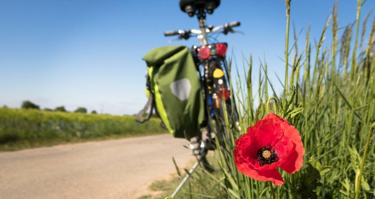 Fahrrad steht an Wiese