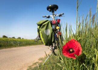 Fahrrad steht an Wiese