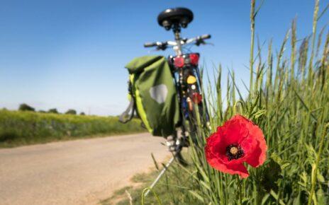 Fahrrad steht an Wiese