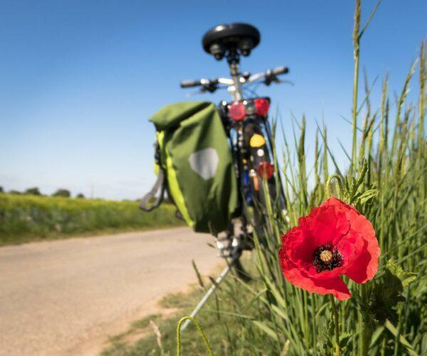 Fahrrad steht an Wiese