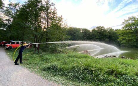 Feuerwehr Aschaffenburg spritzt Frischwasser in den Fasaneriesee