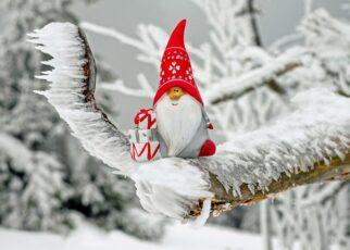 Ein kleiner Weihnachtsmann sitzt auf einem zugeschneiten Zweig
