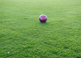 Rasen mit Ball