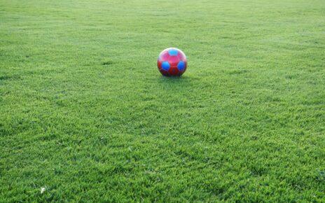 Rasen mit Ball