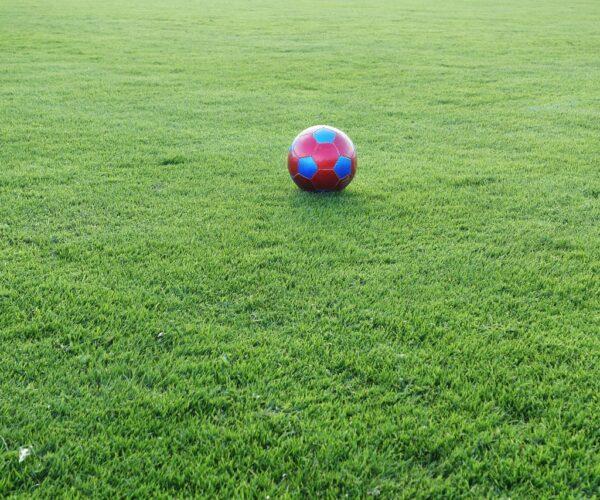 Rasen mit Ball