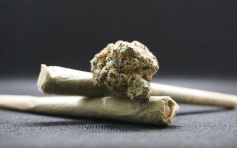 Cannabis Blüte mit Joint