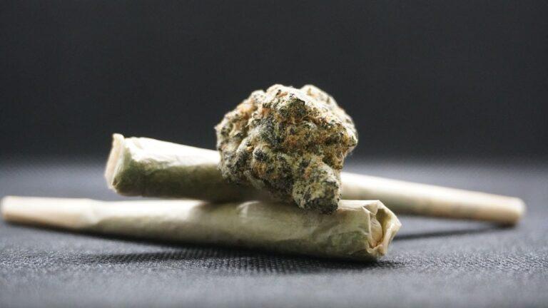 Teil-Legalisierung von Cannabis beschlossen: Neue Regeln für den Cannabiskonsum in Deutschland