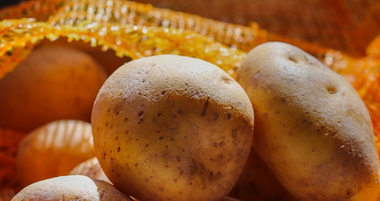 Kartoffeln, die vor einem Kartoffelsack liegen