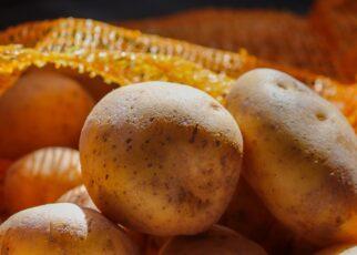 Kartoffeln, die vor einem Kartoffelsack liegen