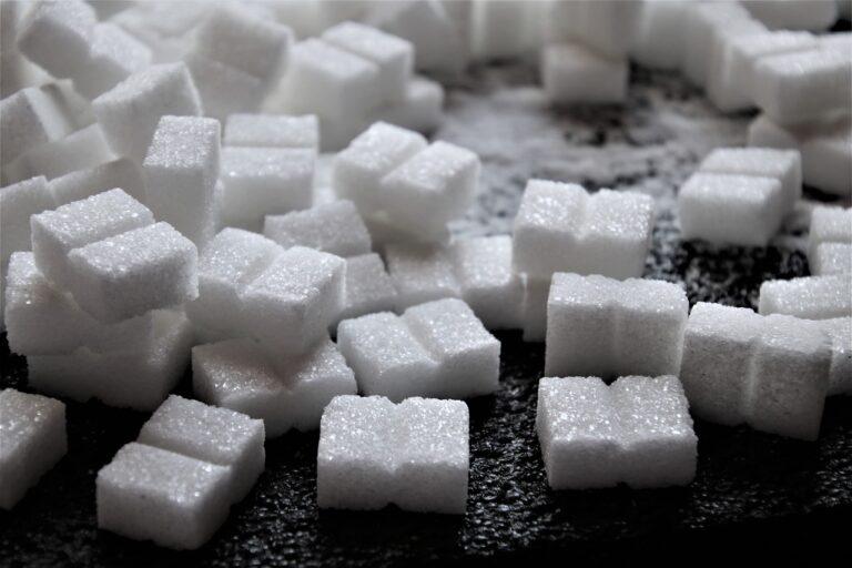 Zuckerfreie Ernährung im Fokus: Gesundheit bewusst gestalten auf der Freizeitmesse 2024